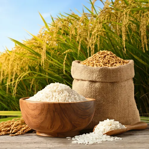 Rice, Flour & Grains