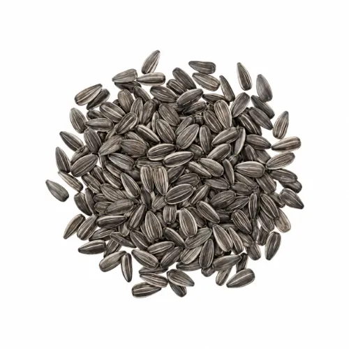 Dry Fruits